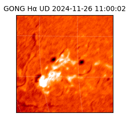 gong - 2024-11-26T11:00:02