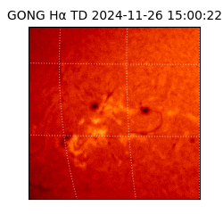 gong - 2024-11-26T15:00:22