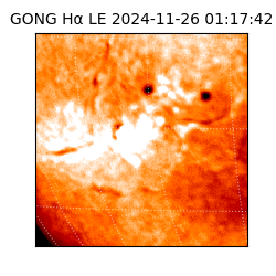 gong - 2024-11-26T01:17:42