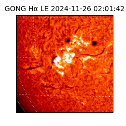 gong - 2024-11-26T02:01:42