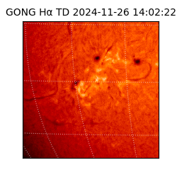 gong - 2024-11-26T14:02:22