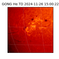 gong - 2024-11-26T15:00:22