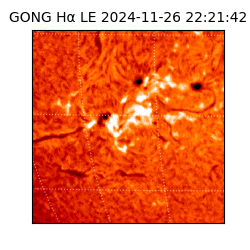 gong - 2024-11-26T22:21:42