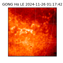 gong - 2024-11-26T01:17:42