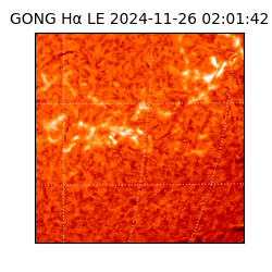 gong - 2024-11-26T02:01:42