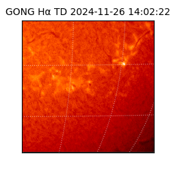 gong - 2024-11-26T14:02:22