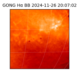 gong - 2024-11-26T20:07:02