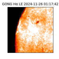 gong - 2024-11-26T01:17:42