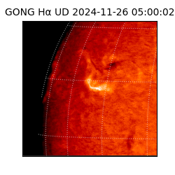 gong - 2024-11-26T05:00:02