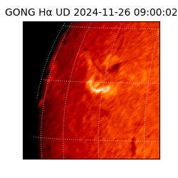 gong - 2024-11-26T09:00:02