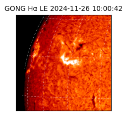 gong - 2024-11-26T10:00:42
