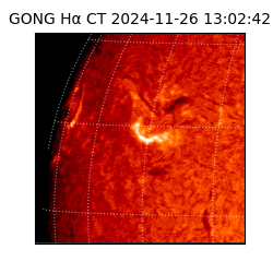 gong - 2024-11-26T13:02:42