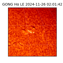 gong - 2024-11-26T02:01:42