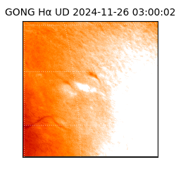 gong - 2024-11-26T03:00:02