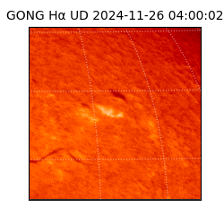 gong - 2024-11-26T04:00:02