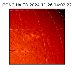 gong - 2024-11-26T14:02:22