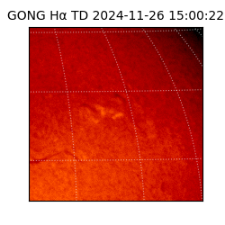 gong - 2024-11-26T15:00:22
