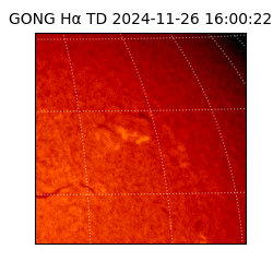 gong - 2024-11-26T16:00:22