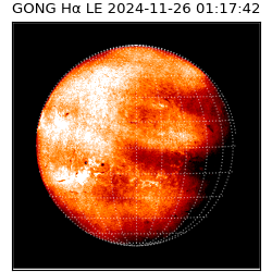 gong - 2024-11-26T01:17:42