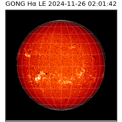 gong - 2024-11-26T02:01:42