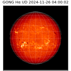 gong - 2024-11-26T04:00:02