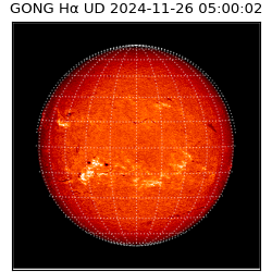 gong - 2024-11-26T05:00:02