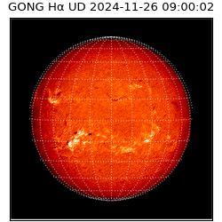 gong - 2024-11-26T09:00:02