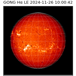 gong - 2024-11-26T10:00:42