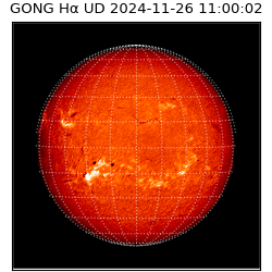 gong - 2024-11-26T11:00:02