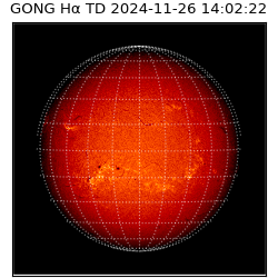 gong - 2024-11-26T14:02:22
