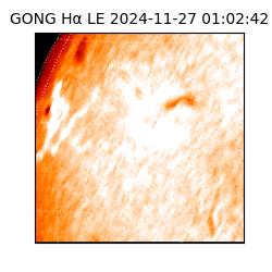 gong - 2024-11-27T01:02:42