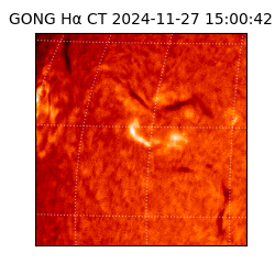 gong - 2024-11-27T15:00:42