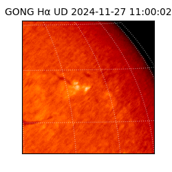 gong - 2024-11-27T11:00:02