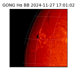 gong - 2024-11-27T17:01:02