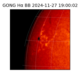 gong - 2024-11-27T19:00:02