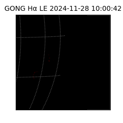 gong - 2024-11-28T10:00:42
