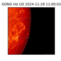 gong - 2024-11-28T11:00:02