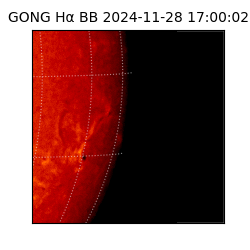 gong - 2024-11-28T17:00:02