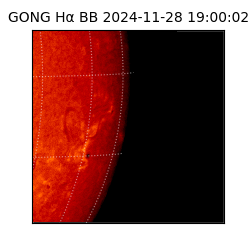 gong - 2024-11-28T19:00:02