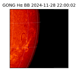 gong - 2024-11-28T22:00:02