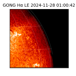 gong - 2024-11-28T01:00:42