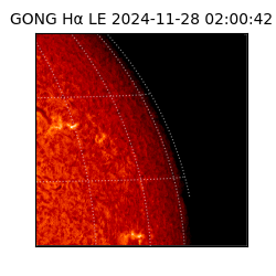 gong - 2024-11-28T02:00:42