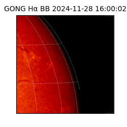 gong - 2024-11-28T16:00:02