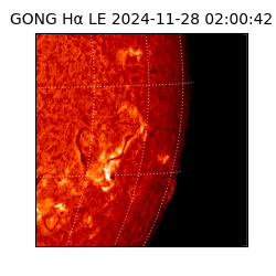 gong - 2024-11-28T02:00:42