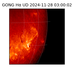 gong - 2024-11-28T03:00:02