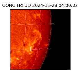 gong - 2024-11-28T04:00:02