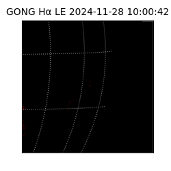 gong - 2024-11-28T10:00:42
