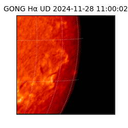 gong - 2024-11-28T11:00:02