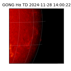 gong - 2024-11-28T14:00:22