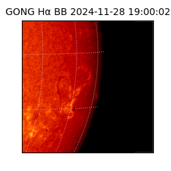 gong - 2024-11-28T19:00:02